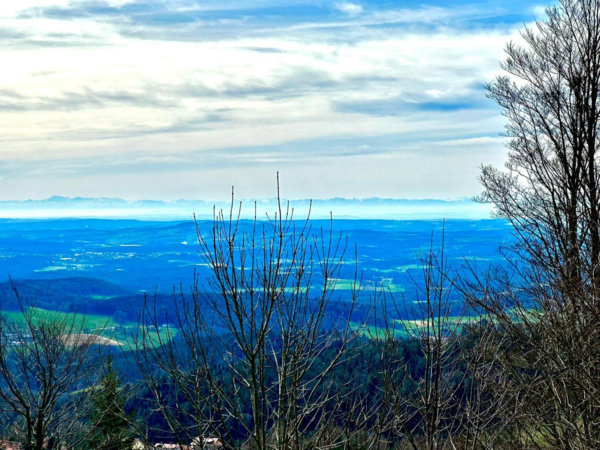 Gemuetliches Alpenblick Berg-Bungalow + Grosser Garten + Netflix! Schöfweg Extérieur photo