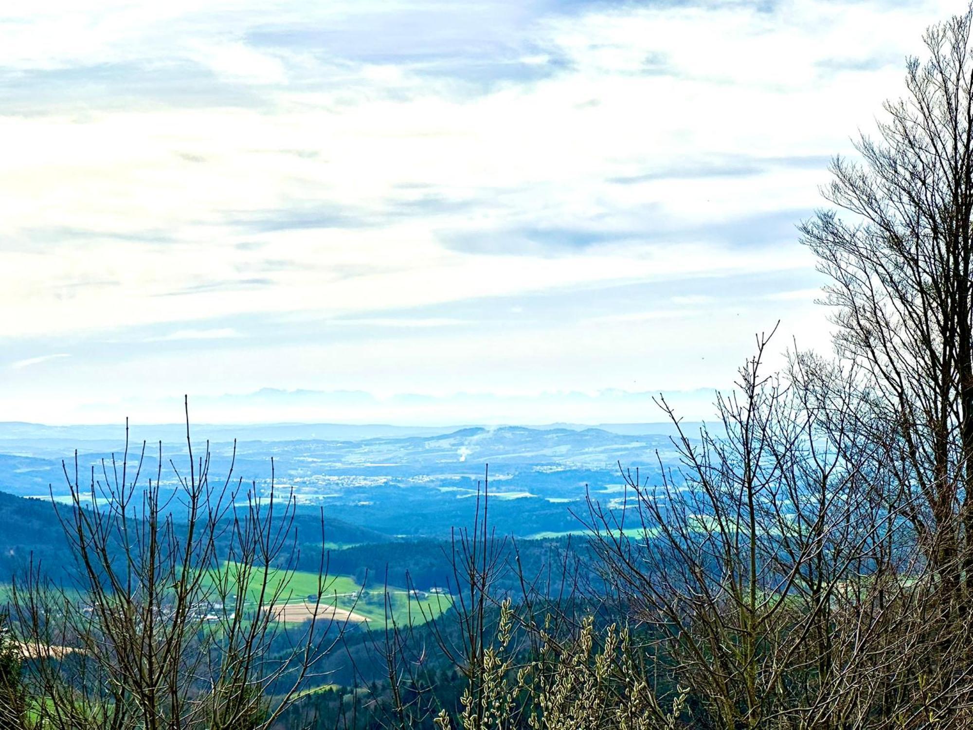 Gemuetliches Alpenblick Berg-Bungalow + Grosser Garten + Netflix! Schöfweg Extérieur photo